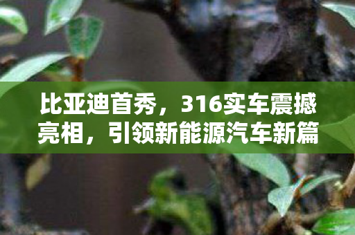 比亚迪首秀，316实车震撼亮相，引领新能源汽车新篇章