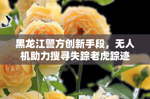 黑龙江警方创新手段，无人机助力搜寻失踪老虎踪迹