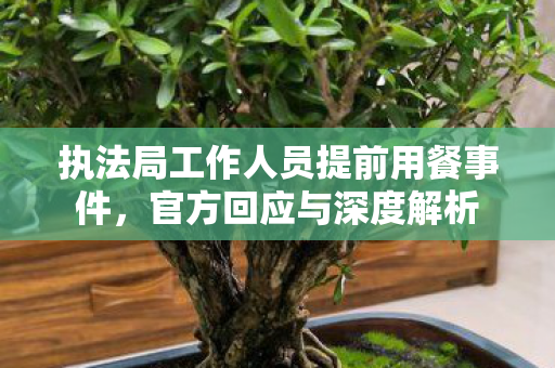 执法局工作人员提前用餐事件，官方回应与深度解析