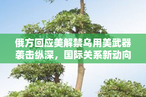 俄方回应美解禁乌用美武器袭击纵深，国际关系新动向分析