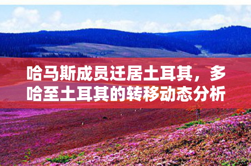 哈马斯成员迁居土耳其，多哈至土耳其的转移动态分析