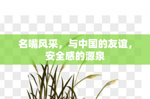 名嘴风采，与中国的友谊，安全感的源泉