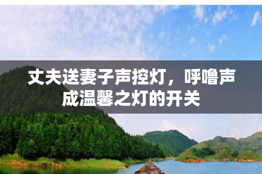 丈夫送妻子声控灯，呼噜声成温馨之灯的开关