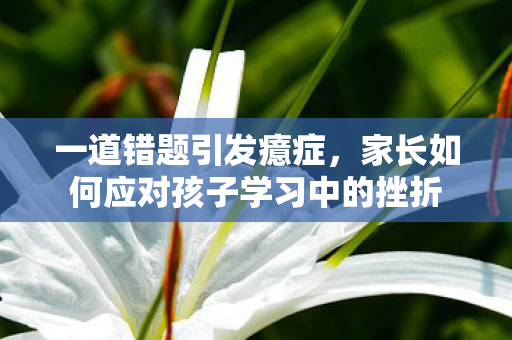 一道错题引发癔症，家长如何应对孩子学习中的挫折
