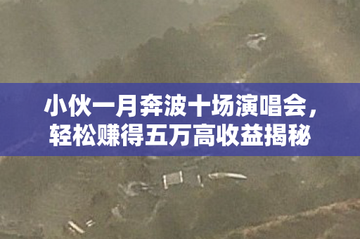 小伙一月奔波十场演唱会，轻松赚得五万高收益揭秘