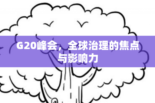 G20峰会，全球治理的焦点与影响力