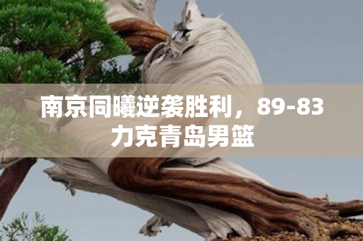 南京同曦逆袭胜利，89-83力克青岛男篮