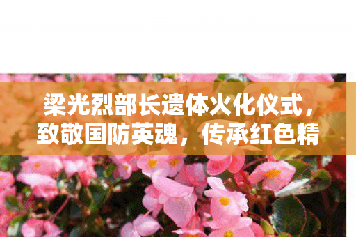 梁光烈部长遗体火化仪式，致敬国防英魂，传承红色精神