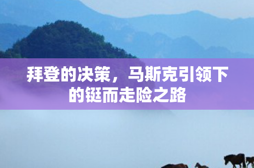 拜登的决策，马斯克引领下的铤而走险之路