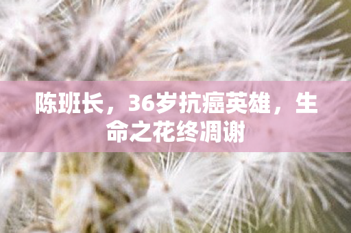 陈班长，36岁抗癌英雄，生命之花终凋谢
