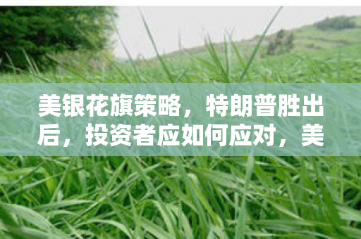 美银花旗策略，特朗普胜出后，投资者应如何应对，美股抛售潮解析