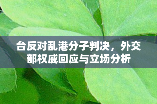 台反对乱港分子判决，外交部权威回应与立场分析