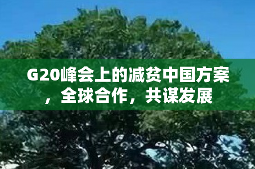 G20峰会上的减贫中国方案，全球合作，共谋发展