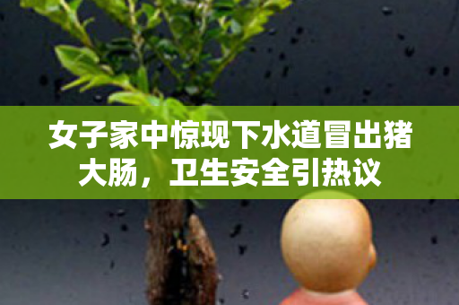 女子家中惊现下水道冒出猪大肠，卫生安全引热议