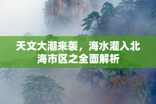 天文大潮来袭，海水灌入北海市区之全面解析