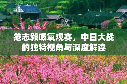 范志毅吸氧观赛，中日大战的独特视角与深度解读
