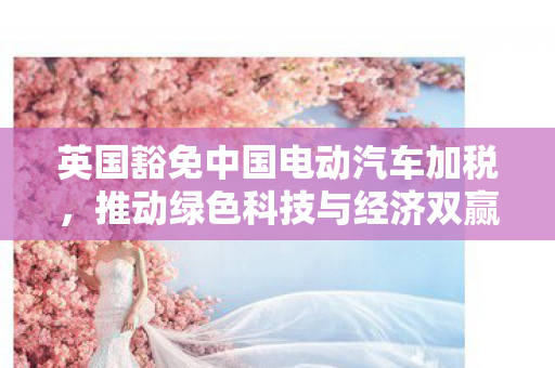 英国豁免中国电动汽车加税，推动绿色科技与经济双赢的决策