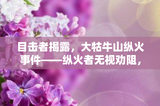 目击者揭露，大牯牛山纵火事件——纵火者无视劝阻，罔顾山林安全