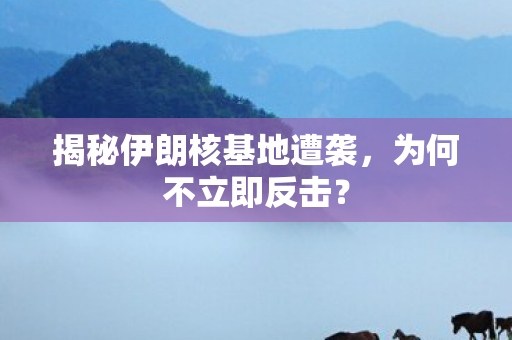 揭秘伊朗核基地遭袭，为何不立即反击？