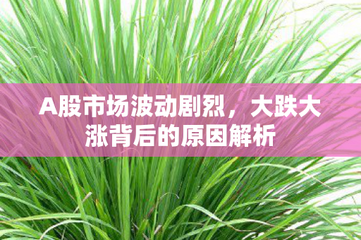 A股市场波动剧烈，大跌大涨背后的原因解析