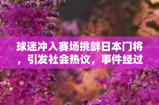球迷冲入赛场挑衅日本门将，引发社会热议，事件经过与深刻反思