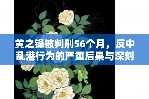 黄之锋被判刑56个月，反中乱港行为的严重后果与深刻反思