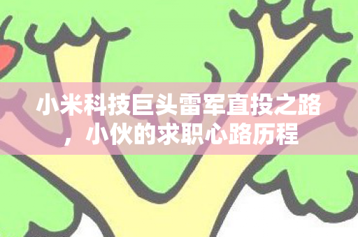 小米科技巨头雷军直投之路，小伙的求职心路历程