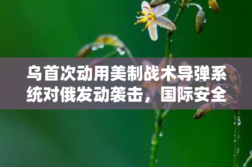 乌首次动用美制战术导弹系统对俄发动袭击，国际安全新挑战的深度解析