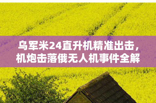 乌军米24直升机精准出击，机炮击落俄无人机事件全解析