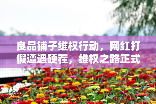 良品铺子维权行动，网红打假遭遇硬茬，维权之路正式开启