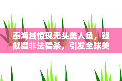 泰海域惊现无头美人鱼，疑似遭非法猎杀，引发全球关注