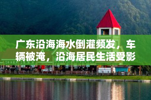广东沿海海水倒灌频发，车辆被淹，沿海居民生活受影响
