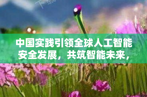 中国实践引领全球人工智能安全发展，共筑智能未来，守护安全之盾