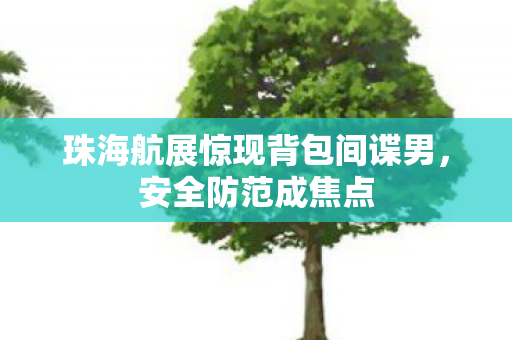 珠海航展惊现背包间谍男，安全防范成焦点