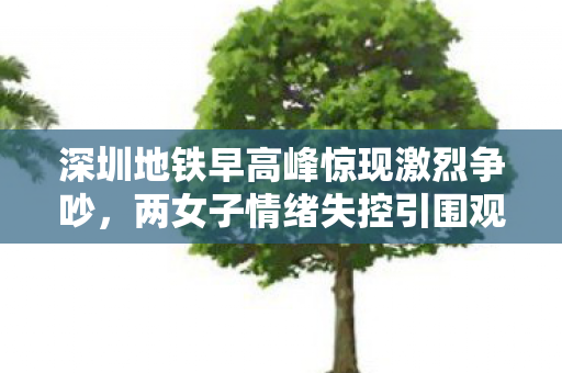 深圳地铁早高峰惊现激烈争吵，两女子情绪失控引围观