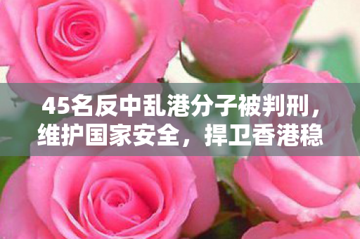45名反中乱港分子被判刑，维护国家安全，捍卫香港稳定