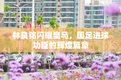 林良铭闪耀皇马，国足进球功臣的辉煌篇章
