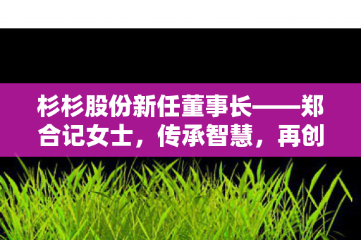 杉杉股份新任董事长——郑合记女士，传承智慧，再创辉煌