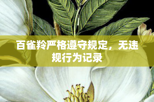 百雀羚严格遵守规定，无违规行为记录