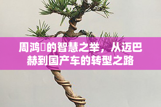 周鸿祎的智慧之举，从迈巴赫到国产车的转型之路