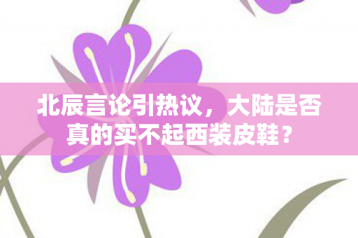北辰言论引热议，大陆是否真的买不起西装皮鞋？