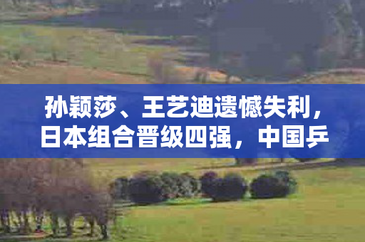 孙颖莎、王艺迪遗憾失利，日本组合晋级四强，中国乒乓再战巅峰