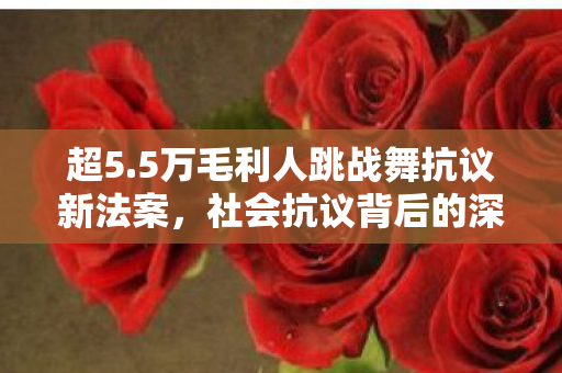 超5.5万毛利人跳战舞抗议新法案，社会抗议背后的深度解析