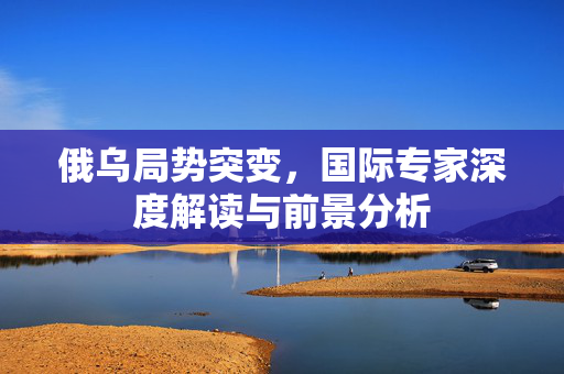 俄乌局势突变，国际专家深度解读与前景分析