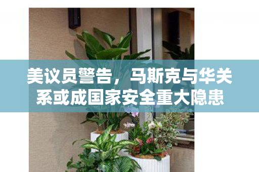 美议员警告，马斯克与华关系或成国家安全重大隐患