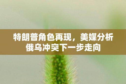 特朗普角色再现，美媒分析俄乌冲突下一步走向