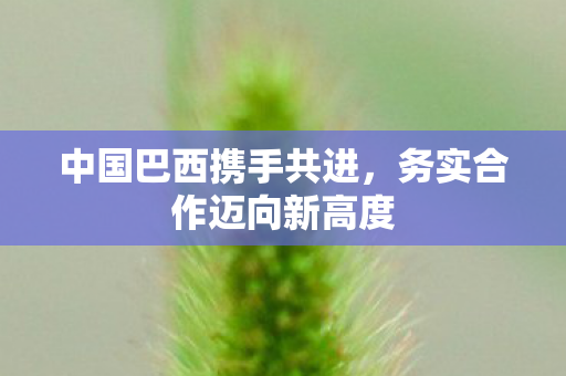 中国巴西携手共进，务实合作迈向新高度