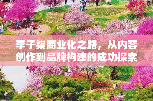 李子柒商业化之路，从内容创作到品牌构建的成功探索