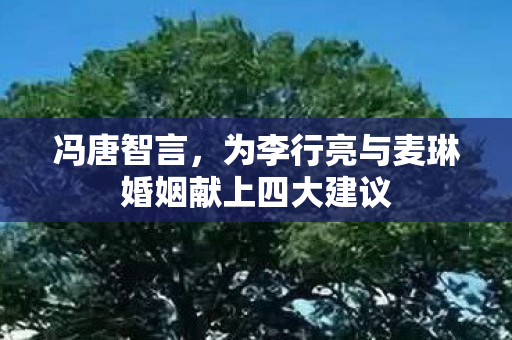 冯唐智言，为李行亮与麦琳婚姻献上四大建议