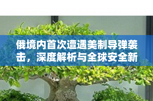 俄境内首次遭遇美制导弹袭击，深度解析与全球安全新挑战